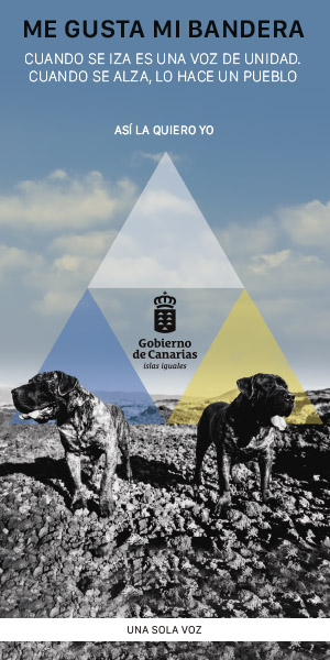 Gobierno de Canarias junio 2026 1